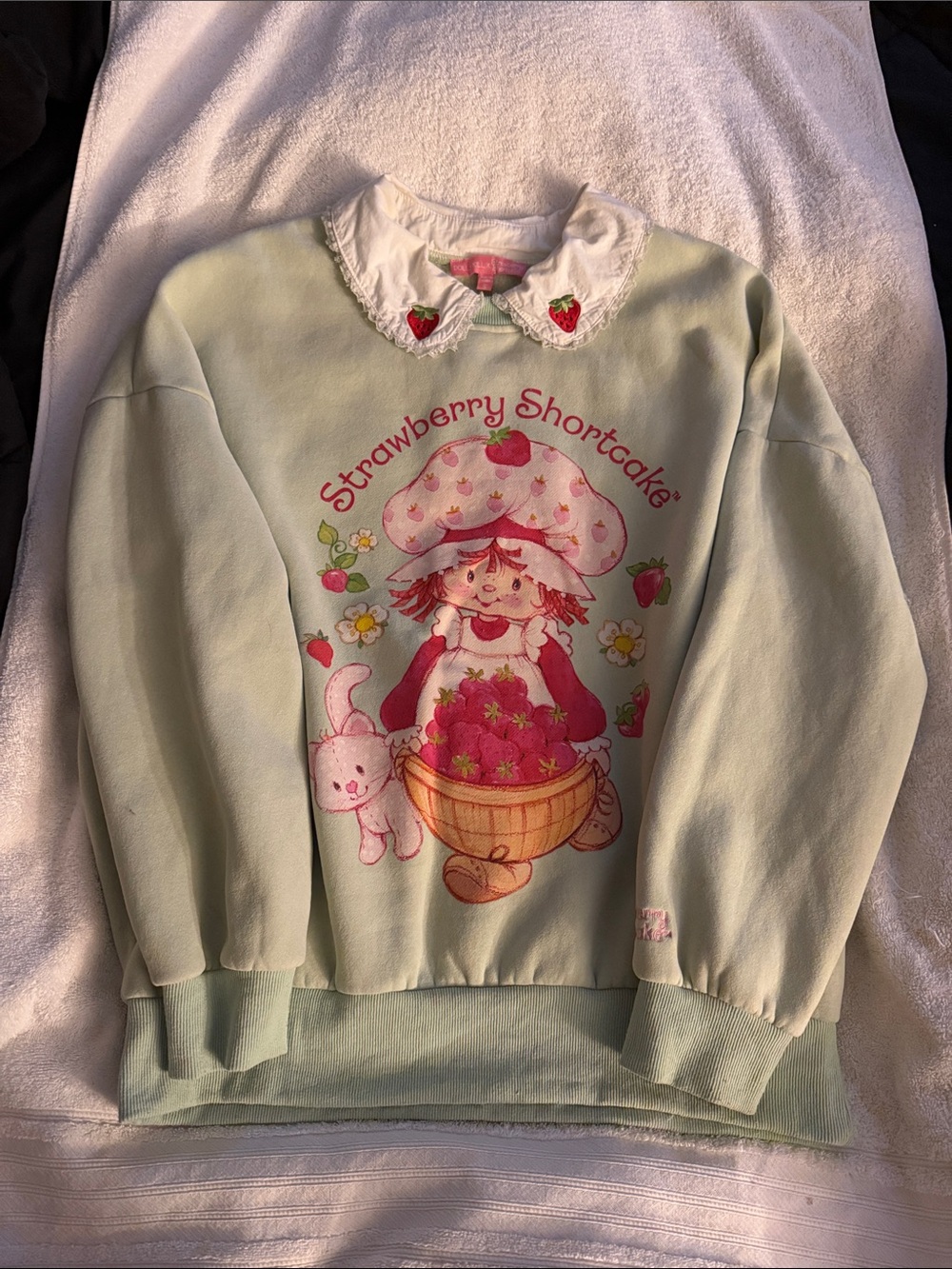 Dolls Kill X Mint Green Graphic Sweatshirt with Peter Pan Collar
